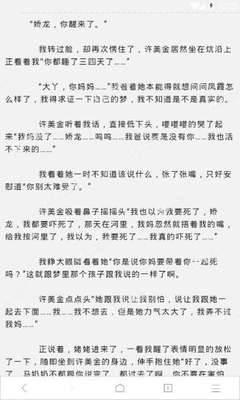 爱游戏平台合作意甲